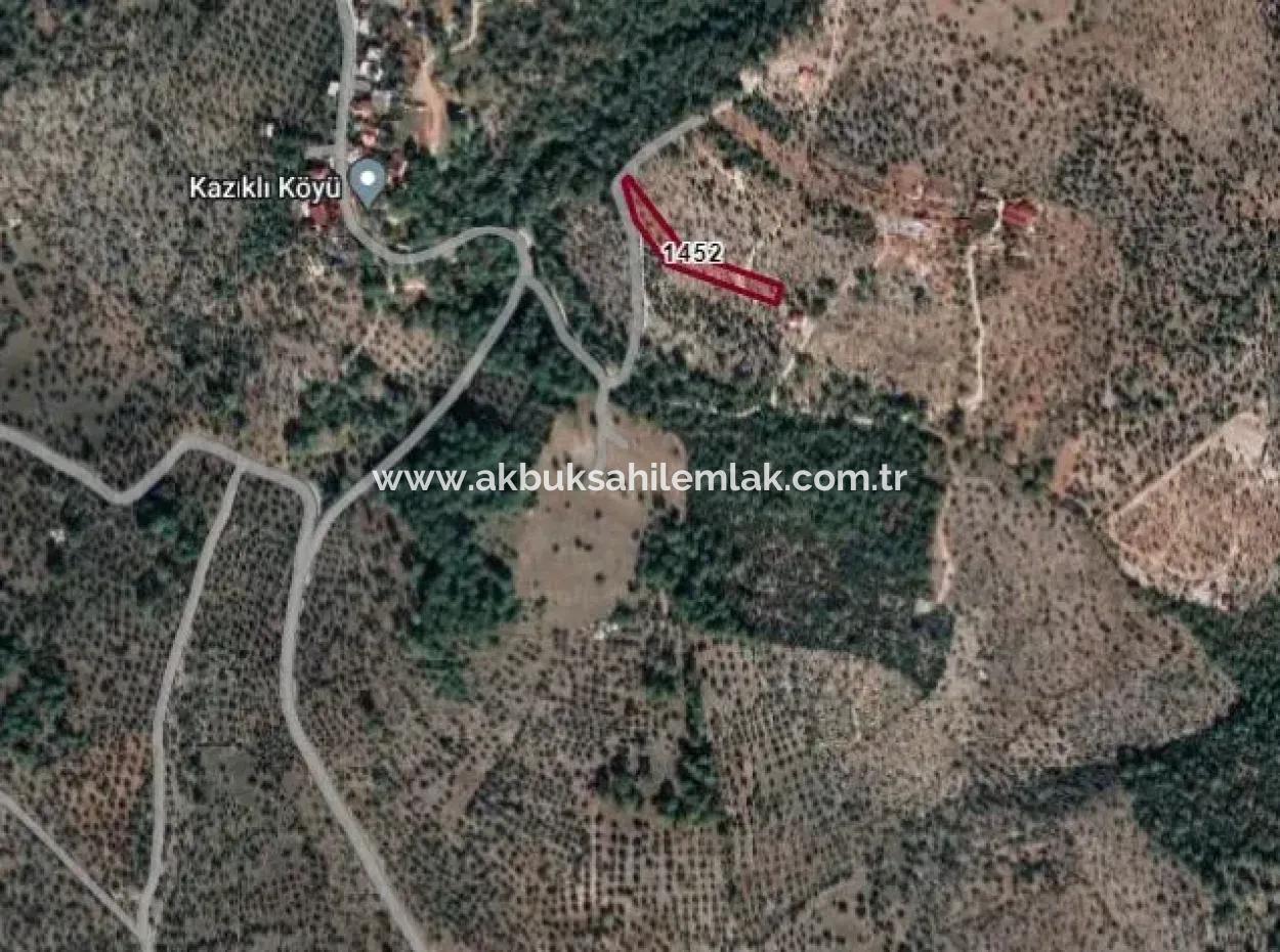 3450 M2 Olive Grove For Sale In Milas Kazıklı