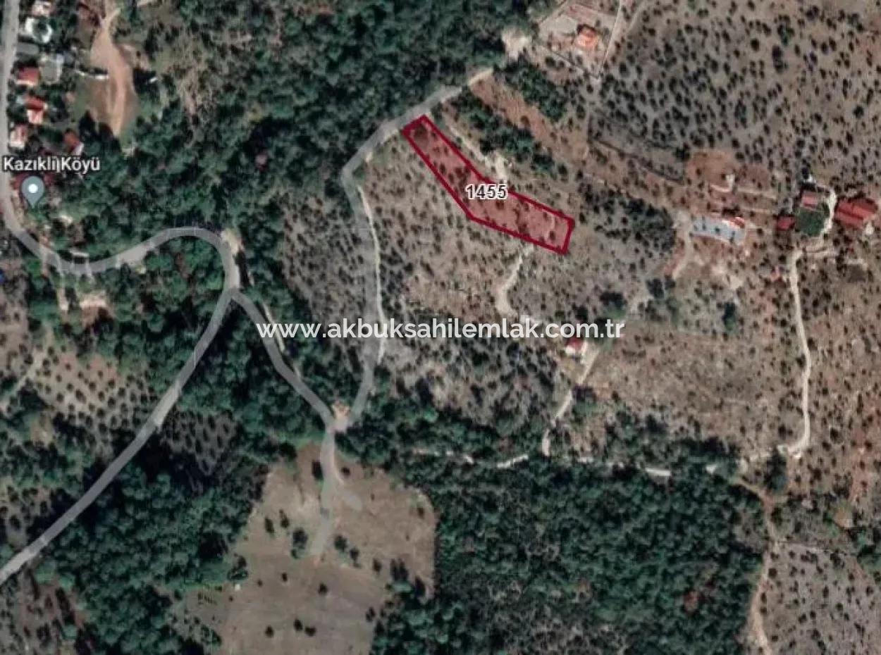 3455 M2 Olive Grove For Sale In Milas Kazıklı