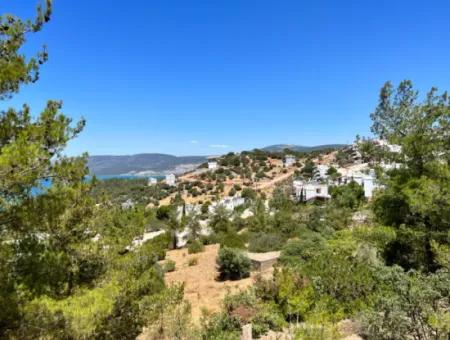 290 M² Land For Sale In Didim Akbük