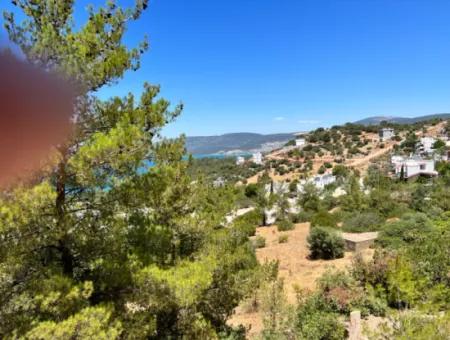 290 M² Land For Sale In Didim Akbük