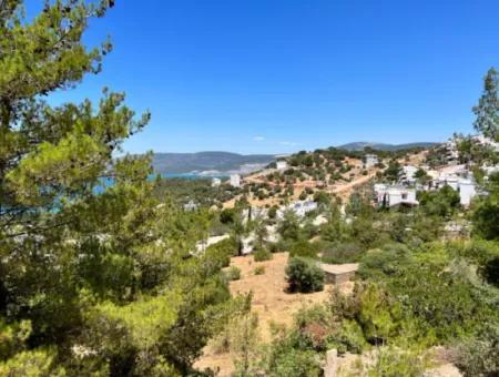 290 M² Land For Sale In Didim Akbük