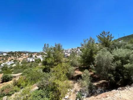 290 M² Land For Sale In Didim Akbük