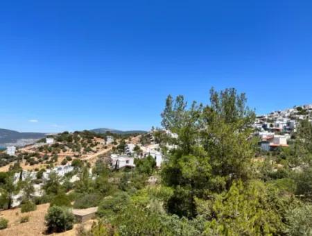 290 M² Land For Sale In Didim Akbük