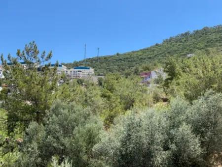 290 M² Land For Sale In Didim Akbük