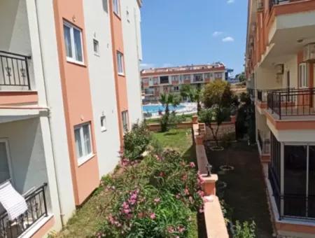 Apartment For Sale In The Center Of Didim 3 +1