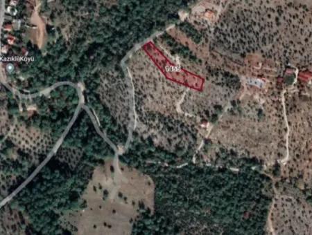 3455 M2 Olive Grove For Sale In Milas Kazıklı